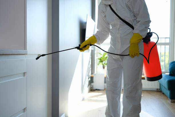 Best Residential Mold Removal  in Lyman, MS