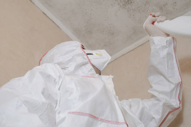 Best Fast Mold Removal  in Lyman, MS