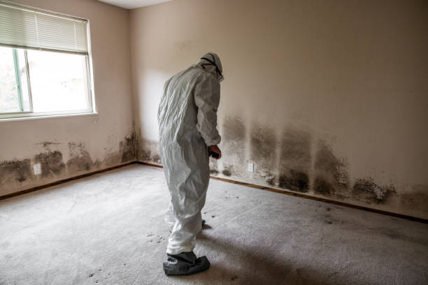 Lyman, MS Mold Removal Company