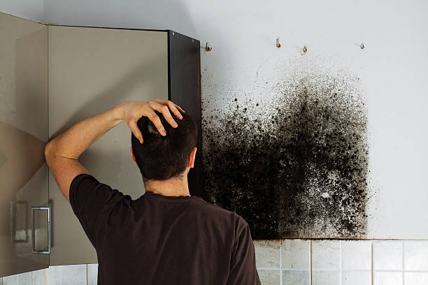 Best Residential Mold Removal  in Lyman, MS
